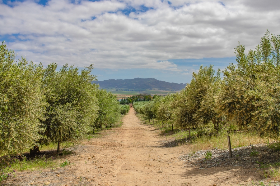 Commercial Property for Sale in Paarl Rural Western Cape